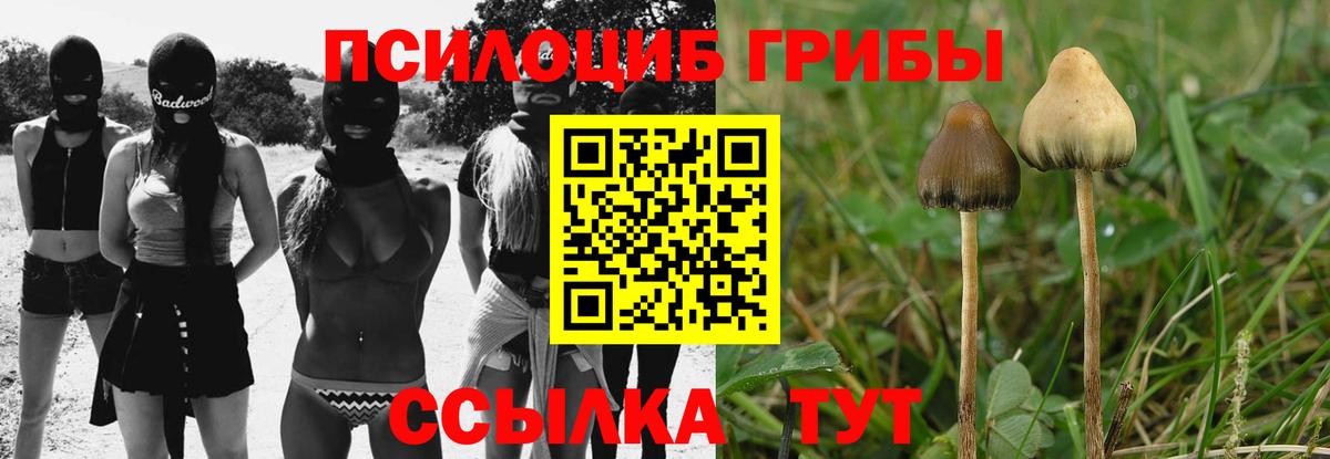 Галлюциногенные грибы Psilocybine cubensis  Псилоцибиновые грибы мицелий  Вход с VPN  Качканар 