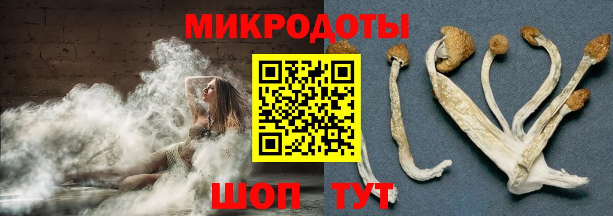 Галлюциногенные грибы мицелий Качканар